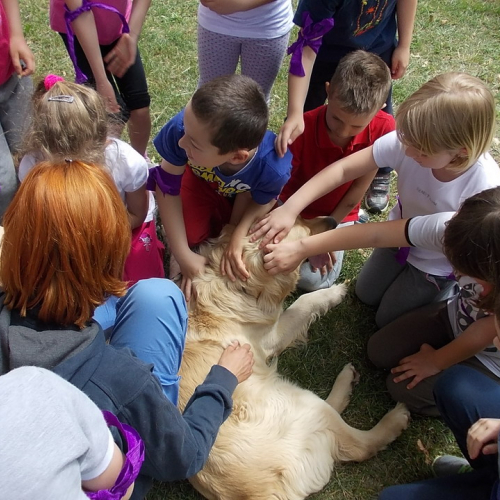 Attivit‡ protezione civile Scuola Marchetti Povoletto n. 27 / 109743
