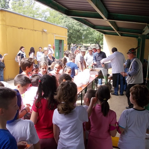 Attivit‡ protezione civile Scuola Marchetti Povoletto n. 62 / 109778