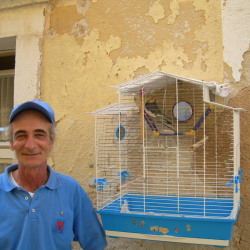 Incontro Sacile-Novigrad n. 4 / 54961