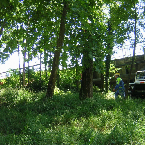 Attivita 2 agosto n. 1 / 27704