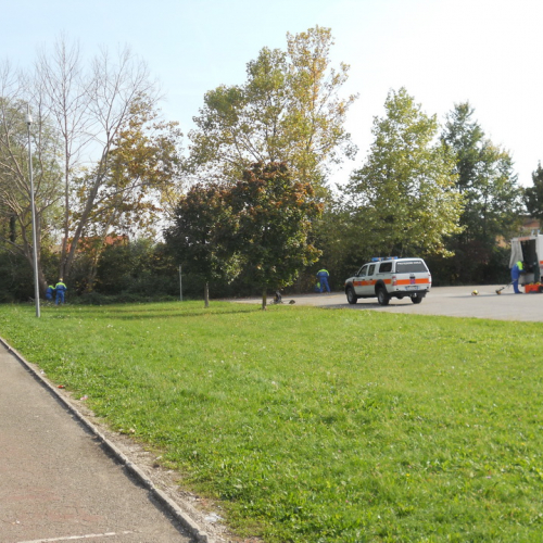 Attivit‡ di prevenzione 19/10/13 n. 1 / 100895