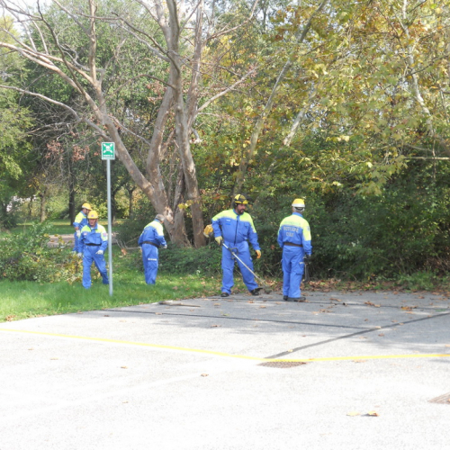 Attivit‡ di prevenzione 19/10/13 n. 2 / 100896