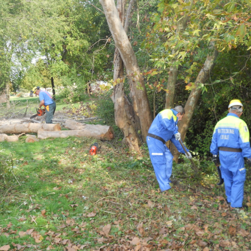 Attivit‡ di prevenzione 19/10/13 n. 4 / 100898