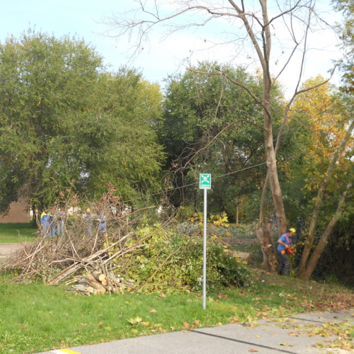 Attivit‡ di prevenzione 19/10/13 n. 7 / 100901