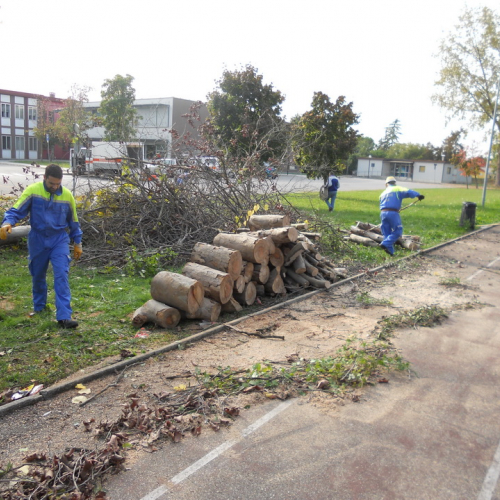 Attivit‡ di prevenzione 19/10/13 n. 10 / 100904