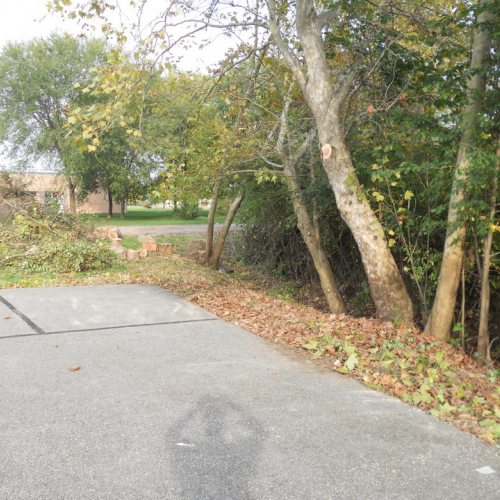 Attivit‡ di prevenzione 19/10/13 n. 11 / 100905