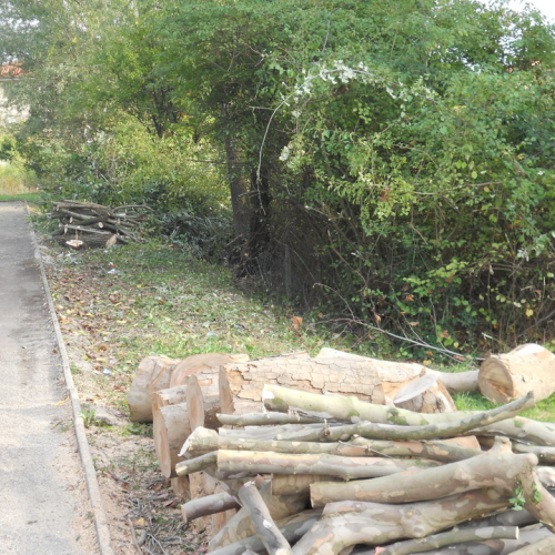 Attivit‡ di prevenzione 19/10/13 n. 13 / 100907