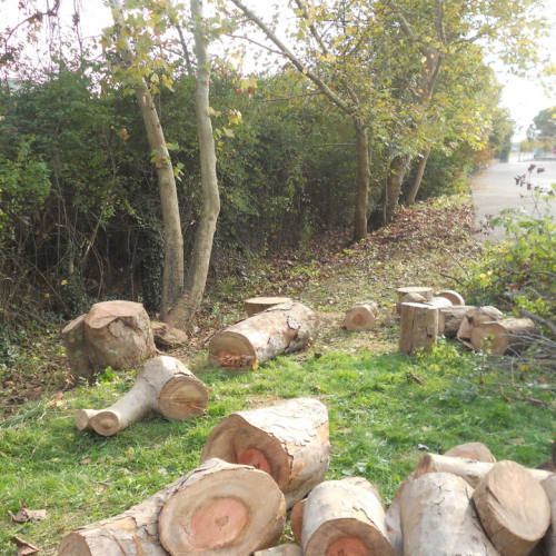Attivit‡ di prevenzione 19/10/13 n. 14 / 100908
