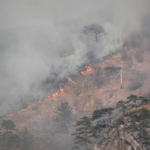 Incendio a Illegio 30/03/12 n.2 / 79512