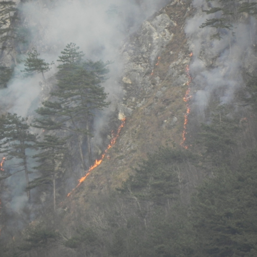 Incendio a Illegio 30/03/12 n.3 / 79513