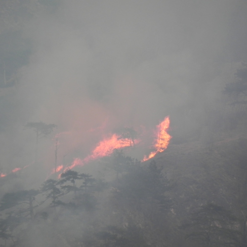 Incendio a Illegio 30/03/12 n.4 / 79514