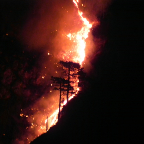 Incendio a Illegio 30/03/12 n.7 / 79517