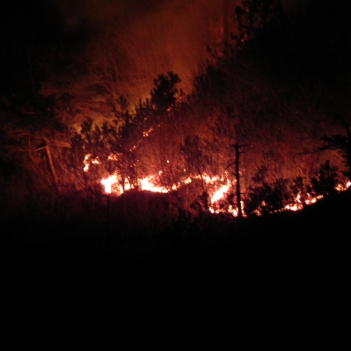 Incendio a Illegio 30/03/12 n.8 / 79518