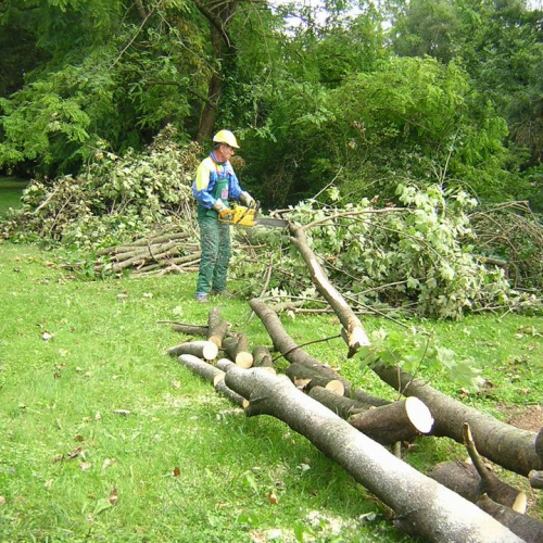 Maltempo Sacile 7.07.2008 3 / 27192