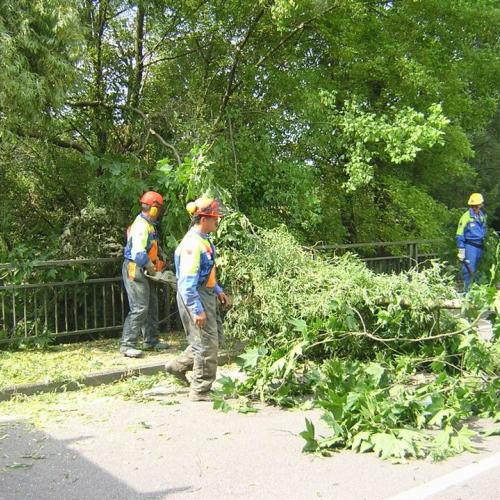 Maltempo Sacile 7.07.2008 5 / 27194