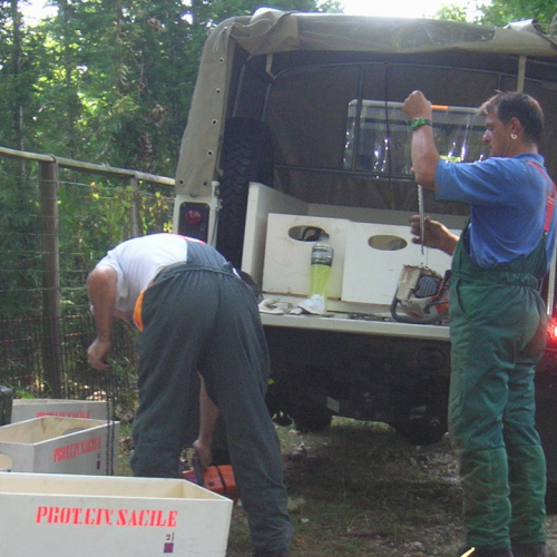 Attivita 2 agosto n. 3 / 27706