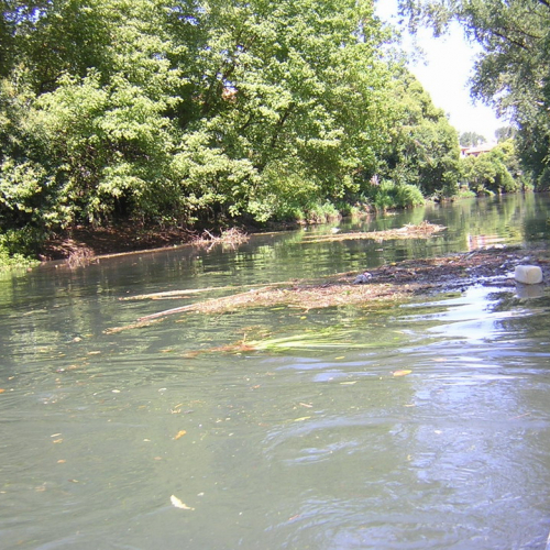 Attivita 2 agosto n. 4 / 27707