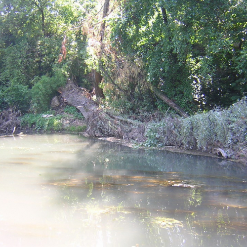 Attivita 2 agosto n. 5 / 27708