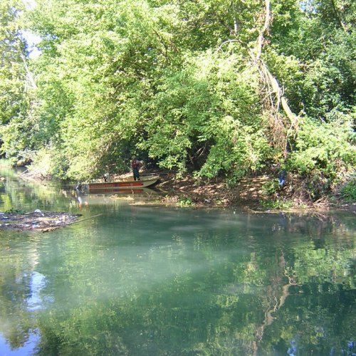 Attivita 2 agosto n. 6 / 27709