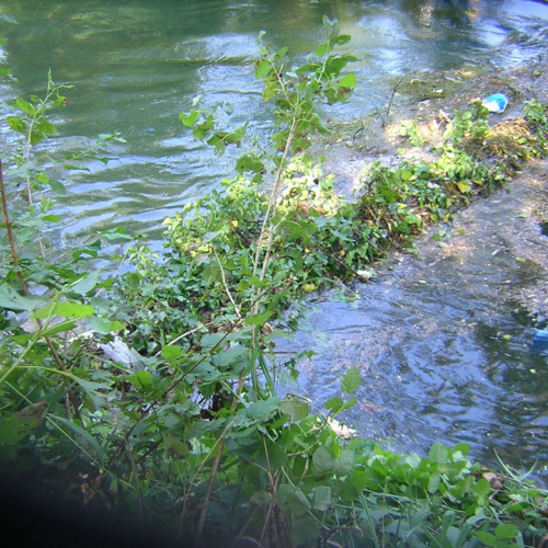 Attivita 2 agosto n. 10 / 27713