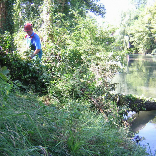 Attivita 2 agosto n. 13 / 27716