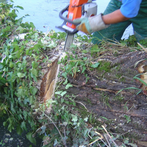 Attivita 2 agosto n. 14 / 27717