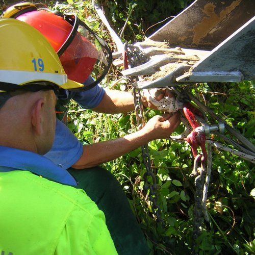 Attivita 2 agosto n. 16 / 27719