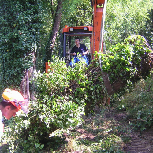 Attivita 2 agosto n. 18 / 27721