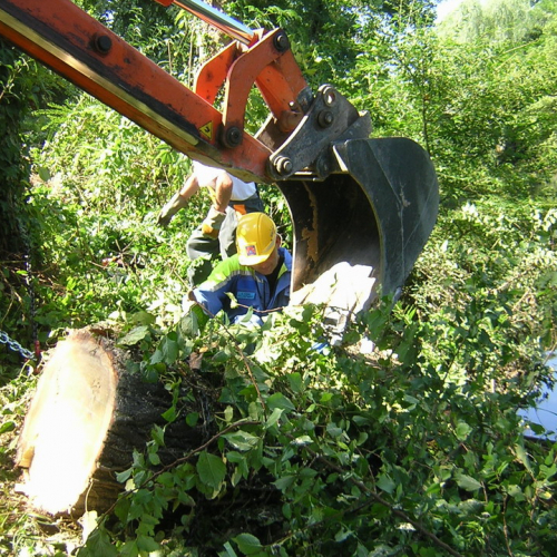 Attivita 2 agosto n. 19 / 27722