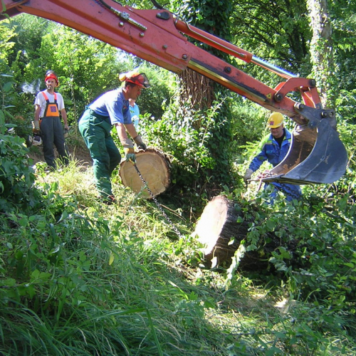 Attivita 2 agosto n. 20 / 27723