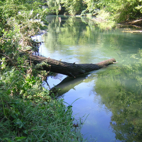 Attivita 2 agosto n. 21 / 27724