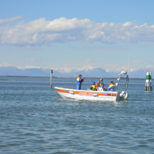 Campi Scuola (21.03.2013) n. 88 / 92794