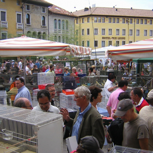 Sagra dei Osei n. 4 / 28712