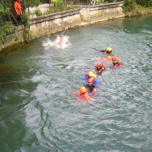 Sagra dei Osei n. 8 / 28716