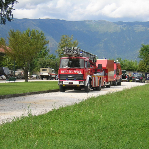 Sagra dei Osei n. 19 / 28727