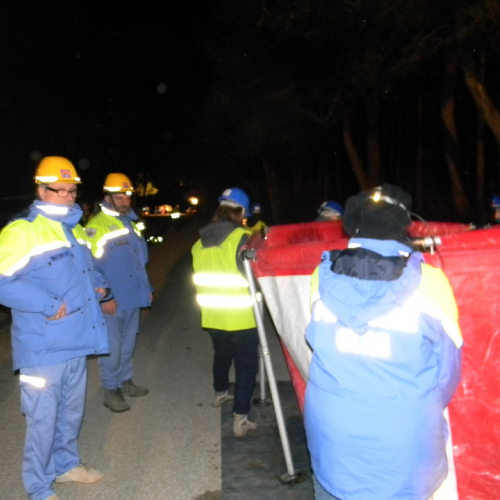 Esercitazione notturna n. 7 / 92884