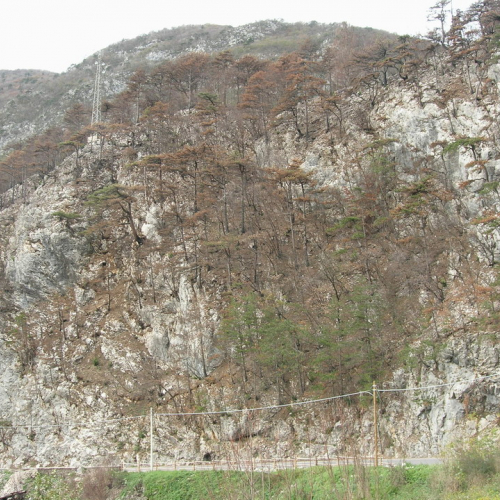 Strada per Illegio 1 / 6284