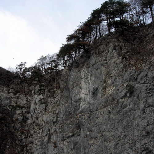 Strada per Illegio 2 / 6285