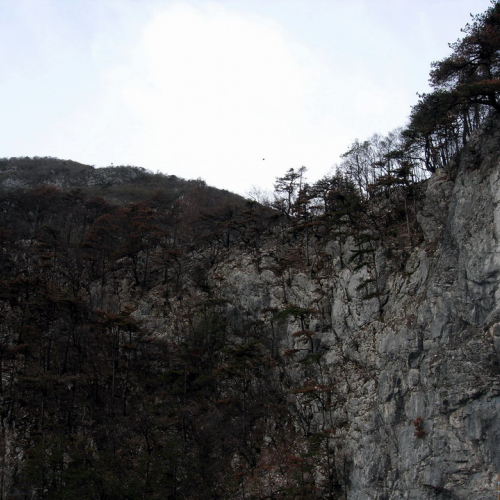 Strada per Illegio 3 / 6286