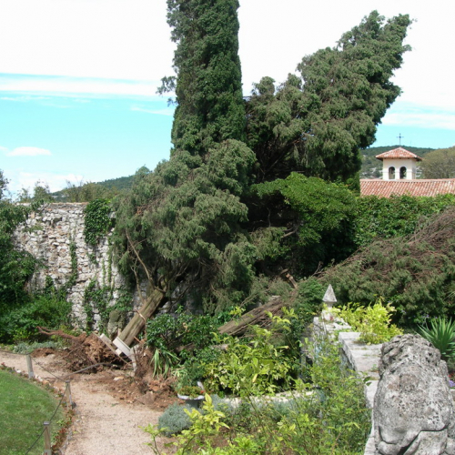 Danni aversit‡ atmosferiche in comune di Duino n. 3 / 27882