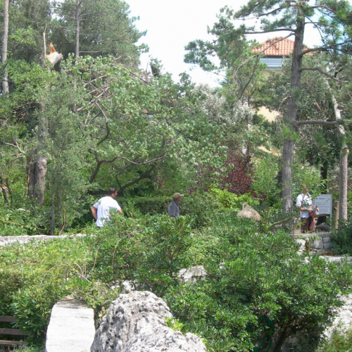 Danni aversit‡ atmosferiche in comune di Duino n. 5 / 27884