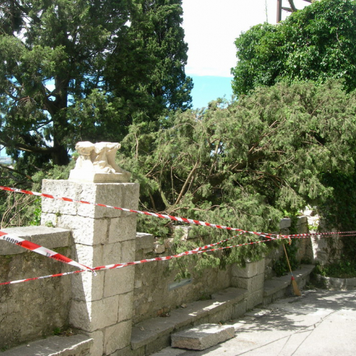 Danni aversit‡ atmosferiche in comune di Duino n. 15 / 27894