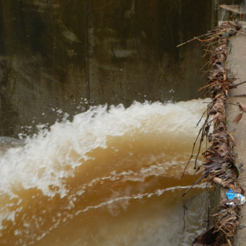 l'esondazione dei Torrenti Lavia e CormÙr foto n.24 / 112109