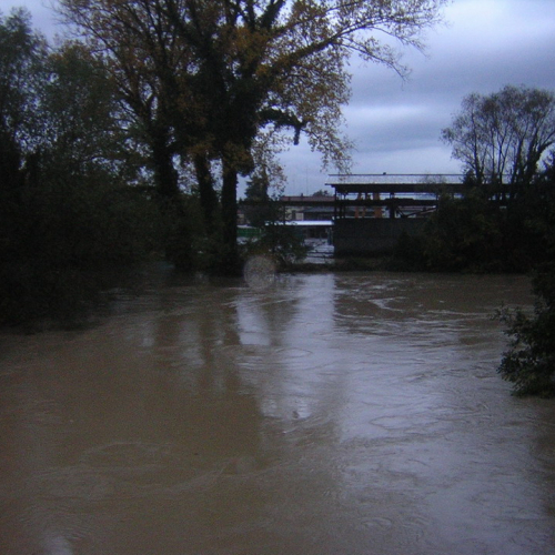 Sacile 02/11/2010 n. 7 / 58002