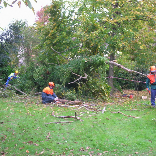 Attivit‡ di prevenzione 16/10/2010 n. 7 / 56932