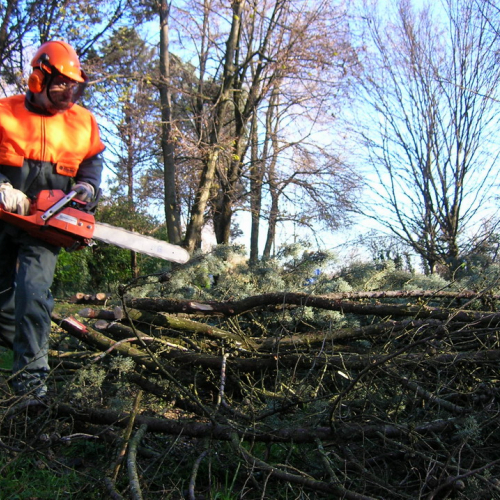 Attivit‡ addestrativa 11/12/10 n. 1 / 59219