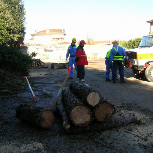 Attivit‡ addestrativa 11/12/10 n. 2 / 59220