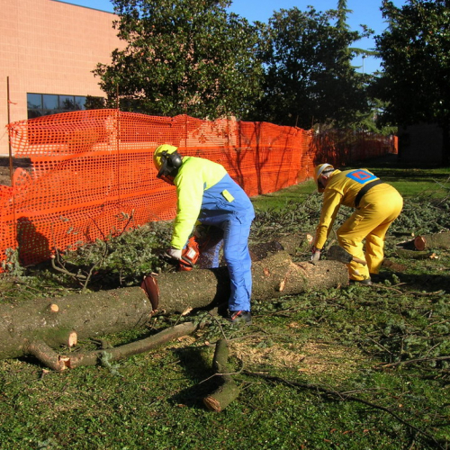 Attivit‡ addestrativa 11/12/10 n. 3 / 59221