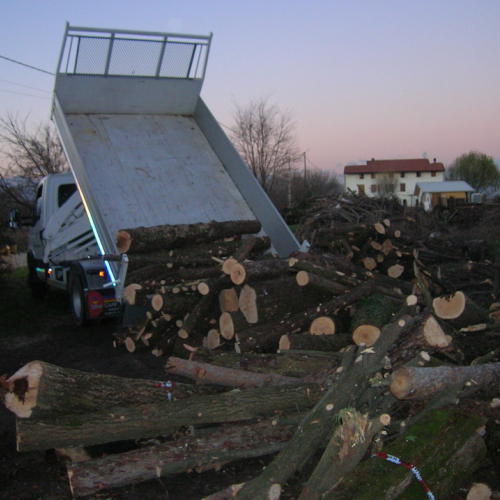 Attivit‡ addestrativa 11/12/10 n. 6 / 59224