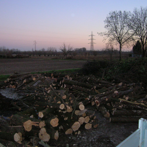 Attivit‡ addestrativa 11/12/10 n. 7 / 59225